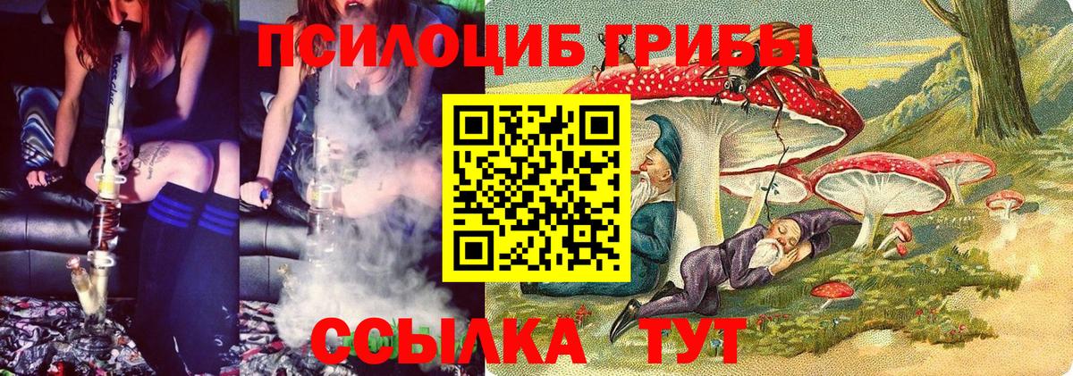 Псилоцибиновые грибы MAGIC MUSHROOMS Торжок